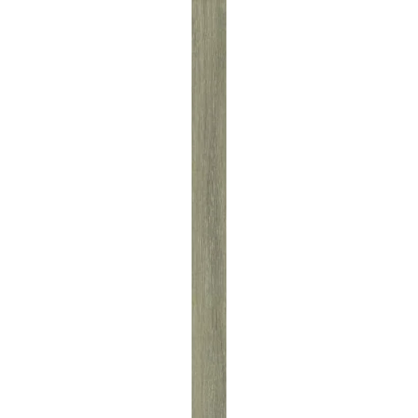 Плитка 10x120 188725 Sage Sichenia Tronais