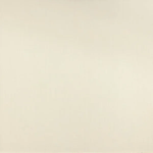 Плитка (120x120) Pudn01 Neutral Rett. Bianco Dechirer