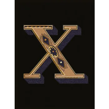 Декор 14.5x19.4 Lettera Nera X Alphabet