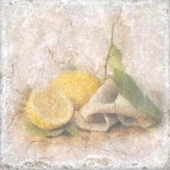 Декор Inserto Tradition S3 Lemon 10x10 Marble Style Cir