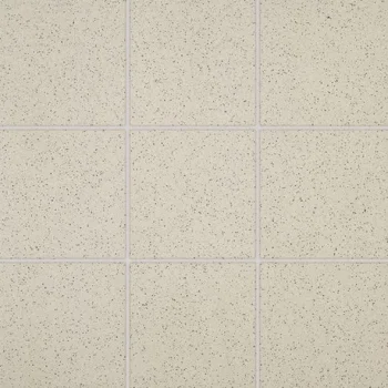 Керамогранит (10x10) Taurus Granit TAA11061