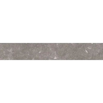 Плитка (10x60) Ttse0110N Stonevolution Grijs